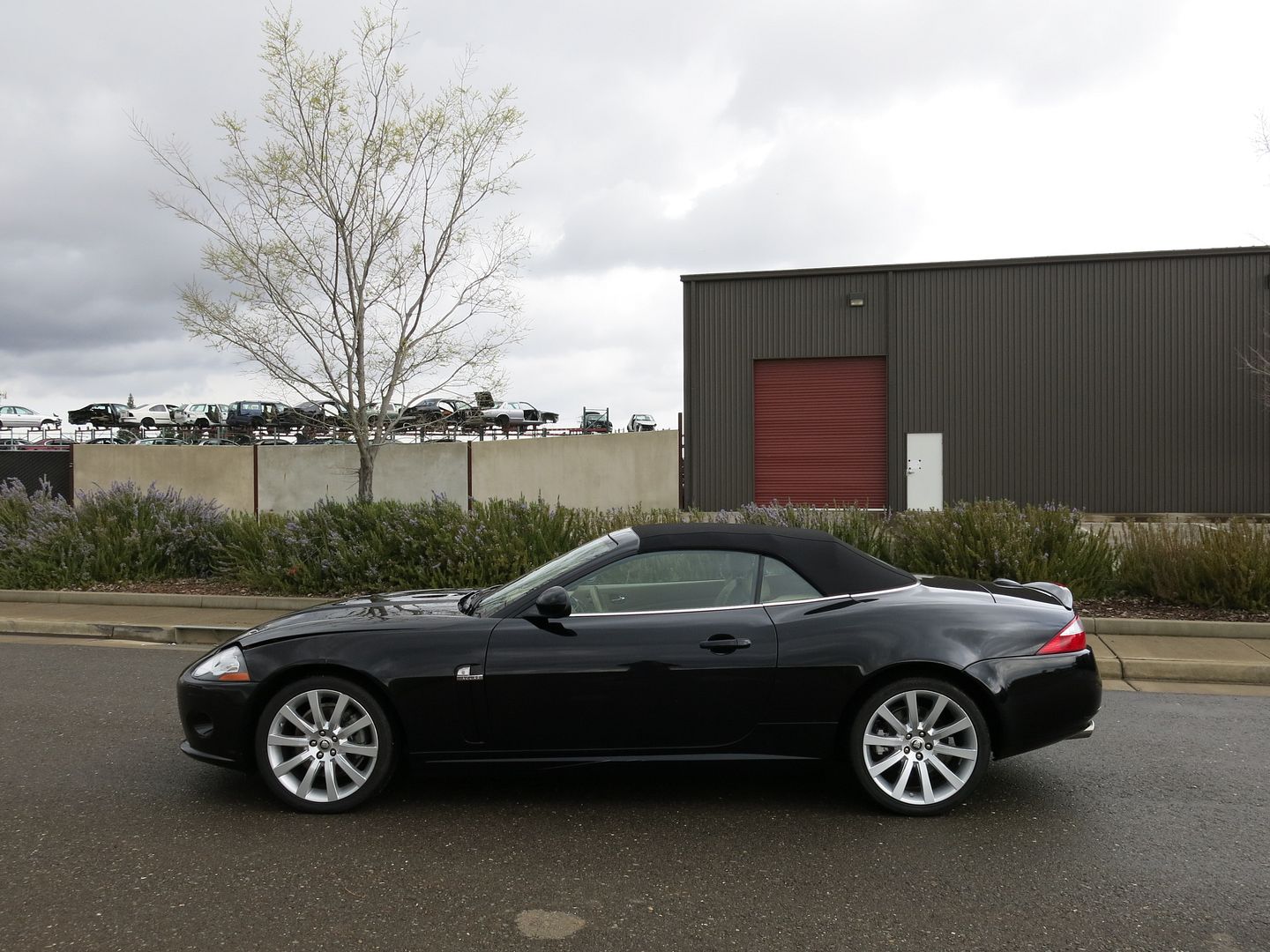 Purchase used 2009 Jaguar xk convertible damaged wrecked rebuildable